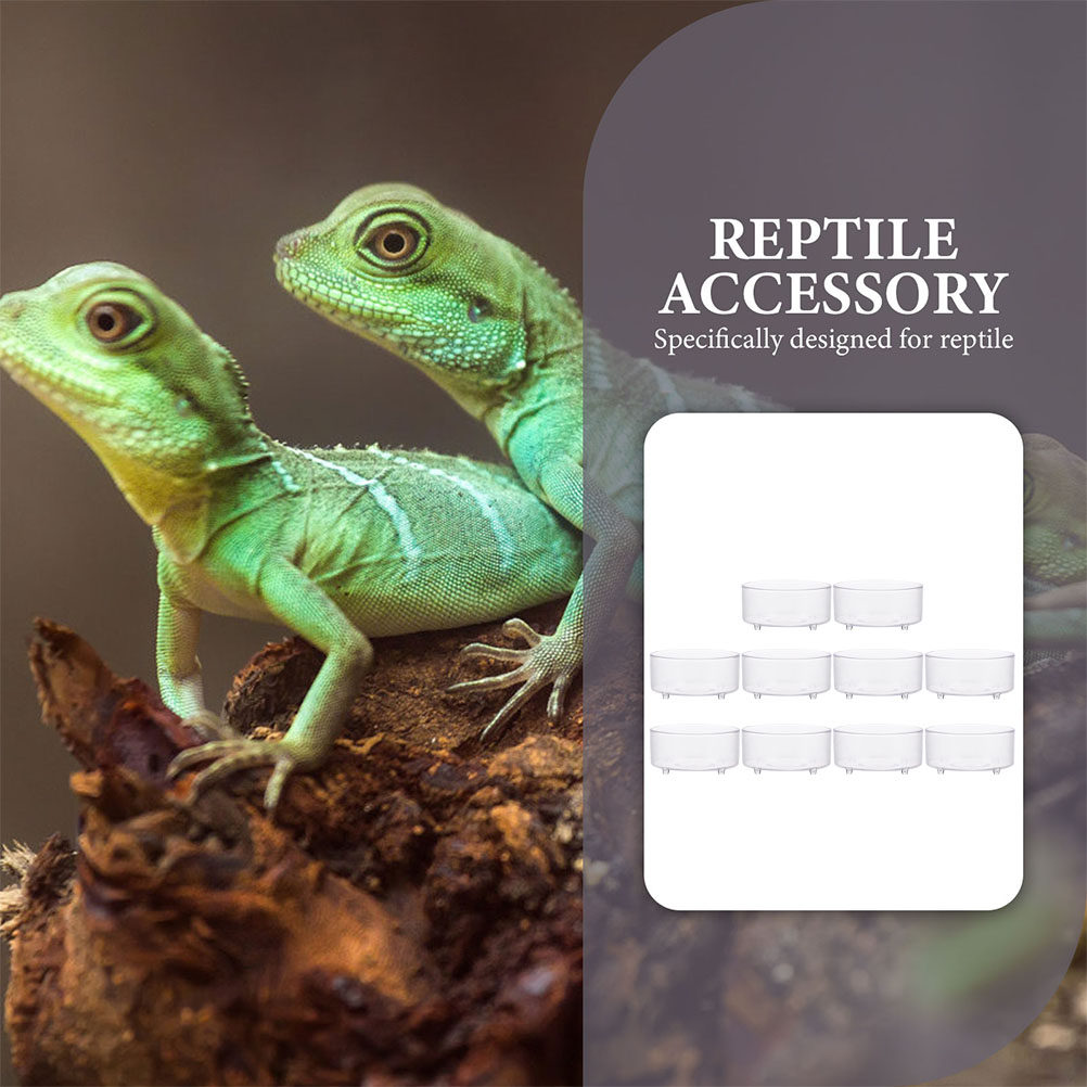 10Pcs Acrylic Reptile Food Dis - Water Dish Reptile reseña y precio