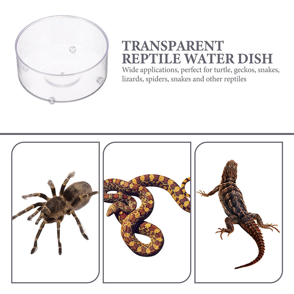 10Pcs Acrylic Reptile Food Dis - Water Dish Reptile reseña y precio