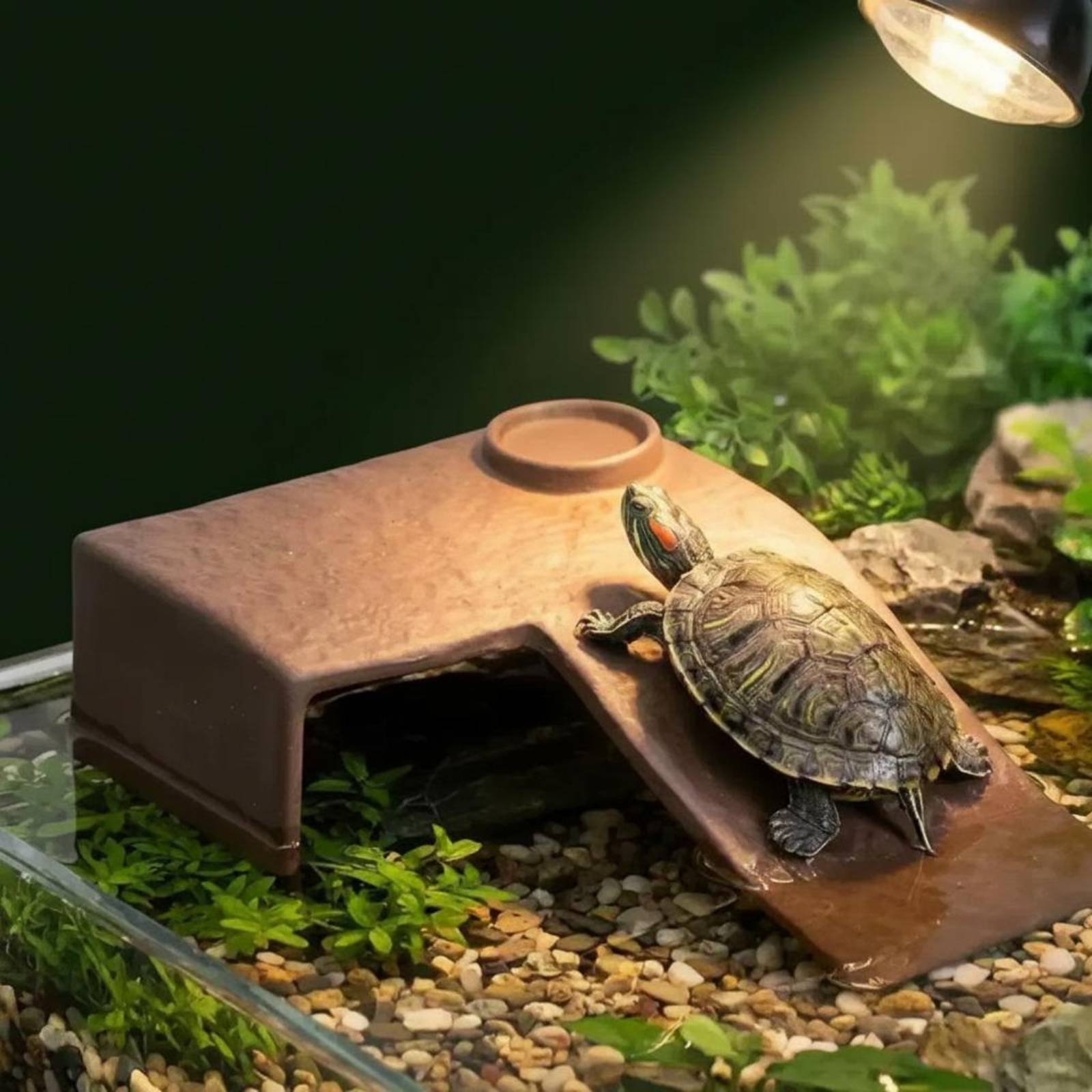 2 Pieces Turtle Basking Dock E - Hide Cave Ceramic reseña y precio