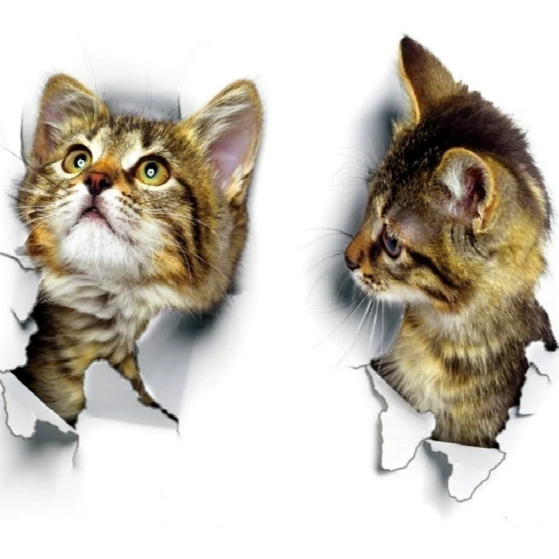 3pcs 3D Cute Cat Self-adhesive - Pvc Panel Background reseña y precio