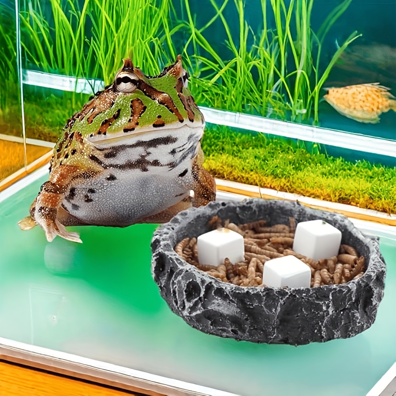 6Pcs For Reptile Grinding Tort - Calcium Powder Reptile reseña y precio