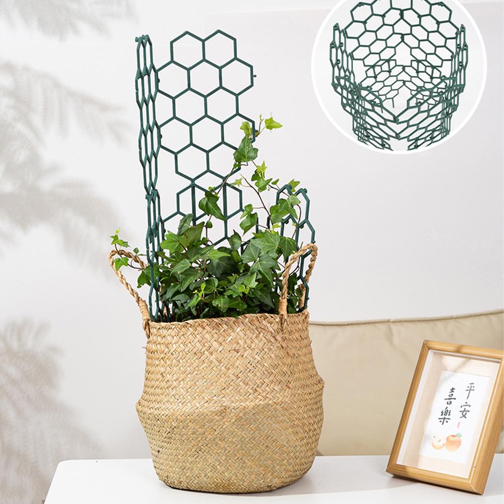 1/2/5Pcs Plastic Plant Support - Vine Climbing Plastic reseña y precio