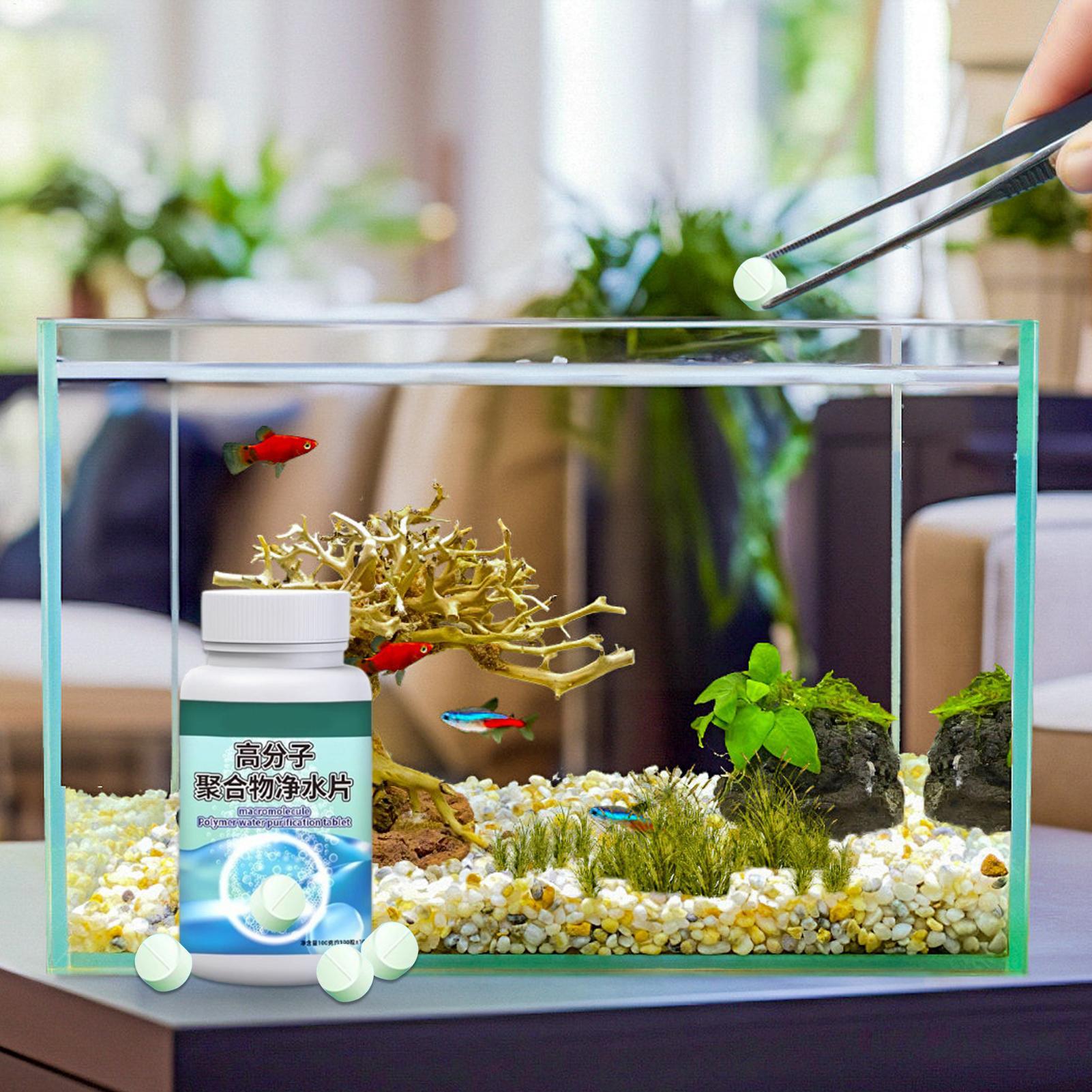 Fish Can Algae Remover Aquariu - Water Dish Reptile reseña y precio