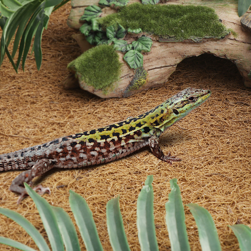 Reptile Carpet Natural Coconut - Substrate Coconut Fiber reseña y precio