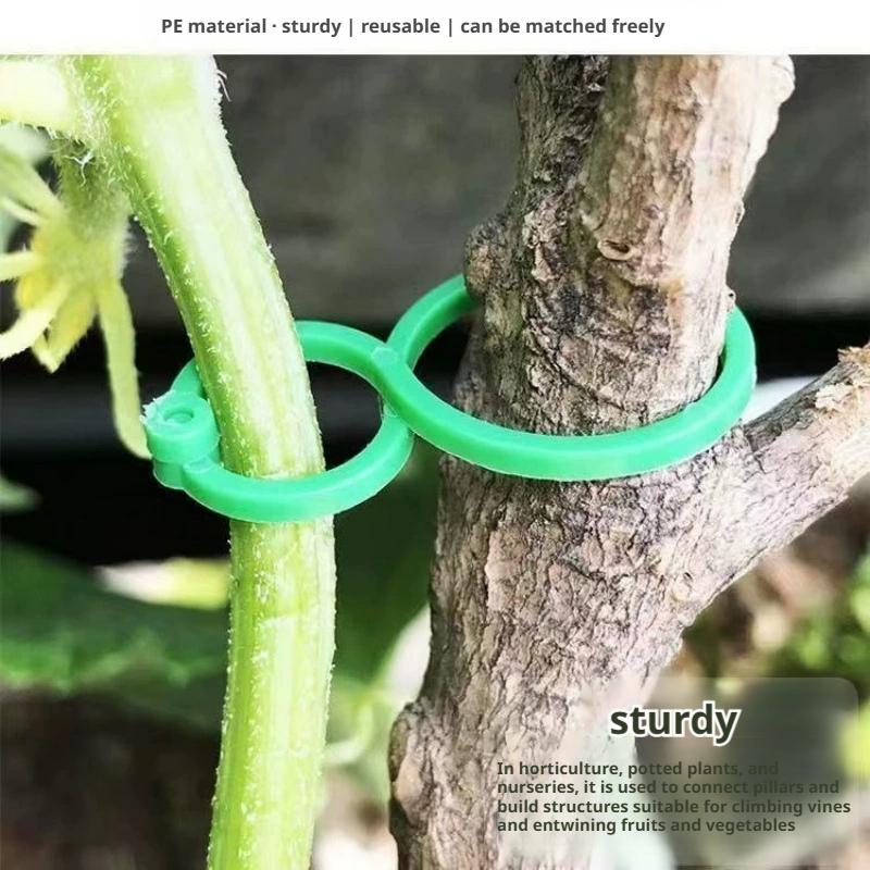 100 Pcs Plant Support Clips He - Vine Climbing Plastic reseña y precio