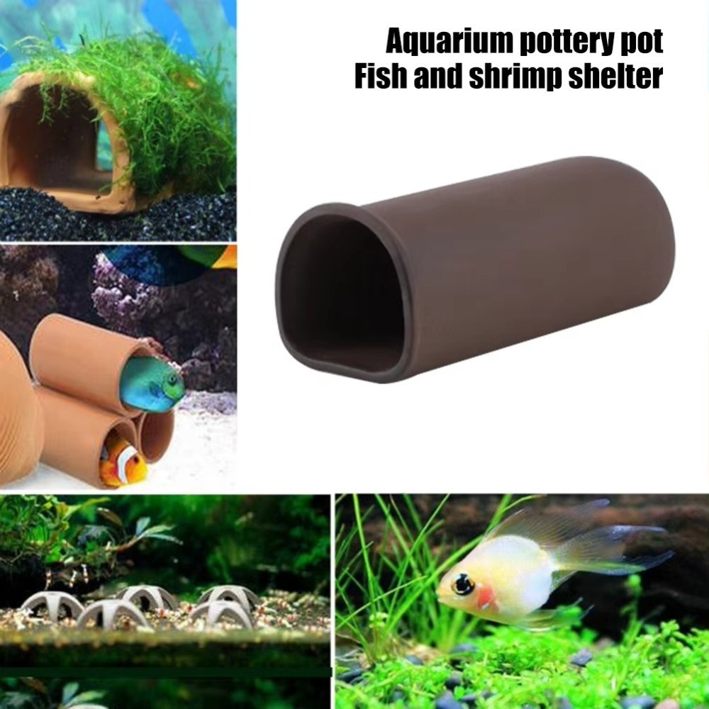 Playing Breeding Spawning Aqua - Hide Cave Ceramic reseña y precio