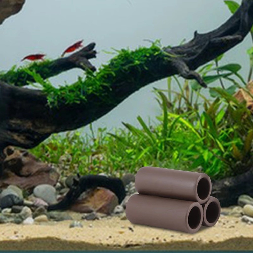 Playing Breeding Spawning Aqua - Hide Cave Ceramic reseña y precio