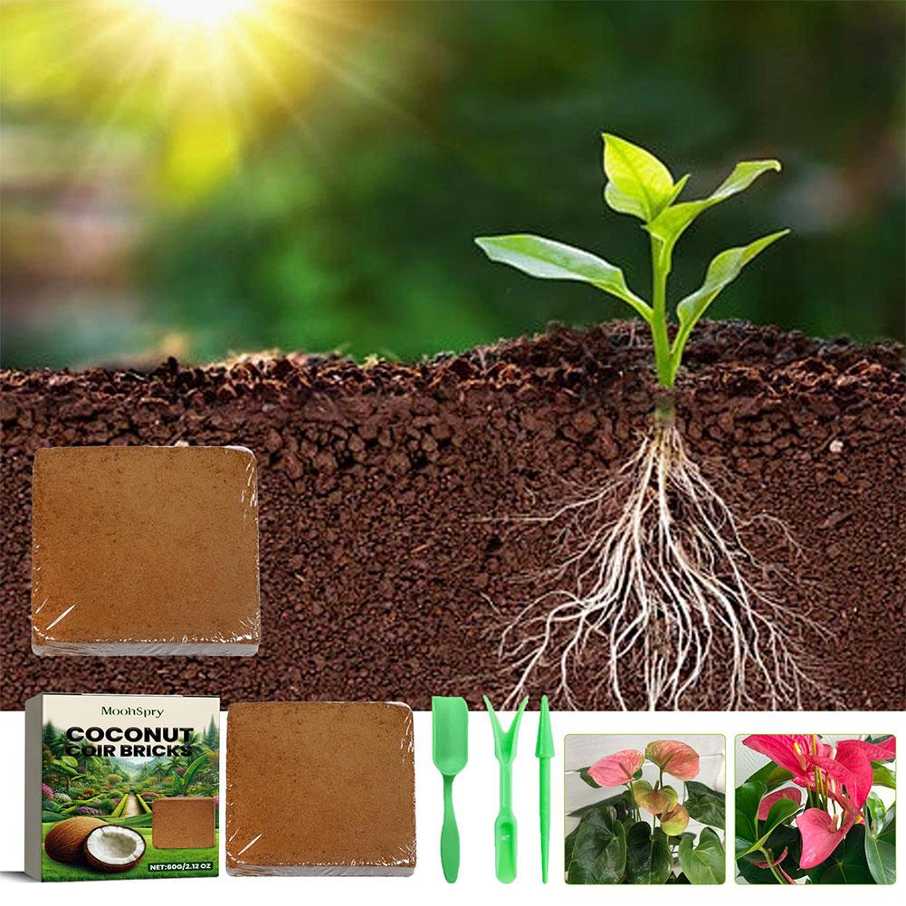 Reptile Coconut Soil Coir Pres - Substrate Coconut Fiber reseña y precio