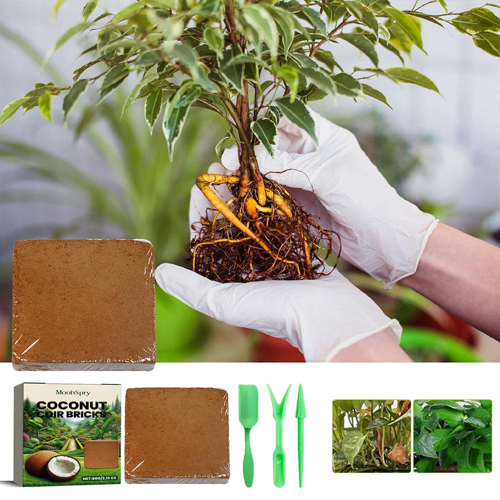 Reptile Coconut Soil Coir Pres - Substrate Coconut Fiber reseña y precio