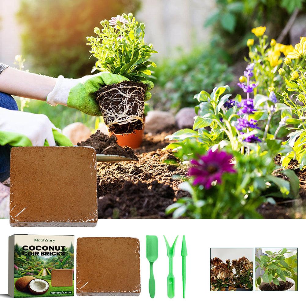 Reptile Coconut Soil Coir Pres - Substrate Coconut Fiber reseña y precio