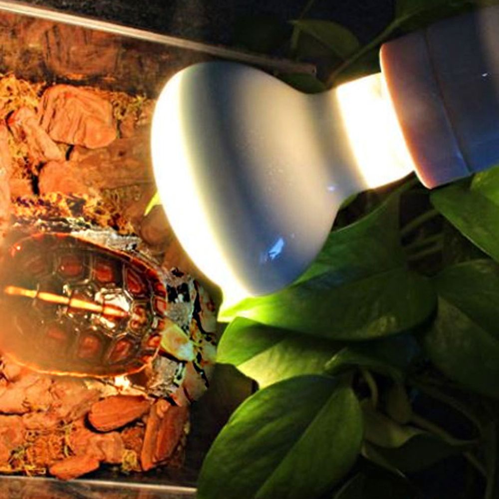 Lizard Heater Temperature Cont - Basking Bulb Halogen reseña y precio