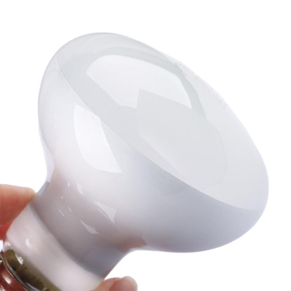 Lizard Heater Temperature Cont - Basking Bulb Halogen reseña y precio