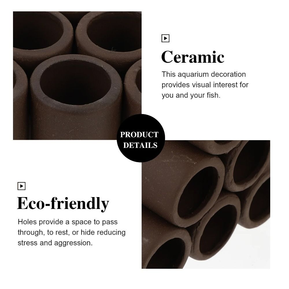 Playing Breeding Spawning Aqua - Hide Cave Ceramic reseña y precio