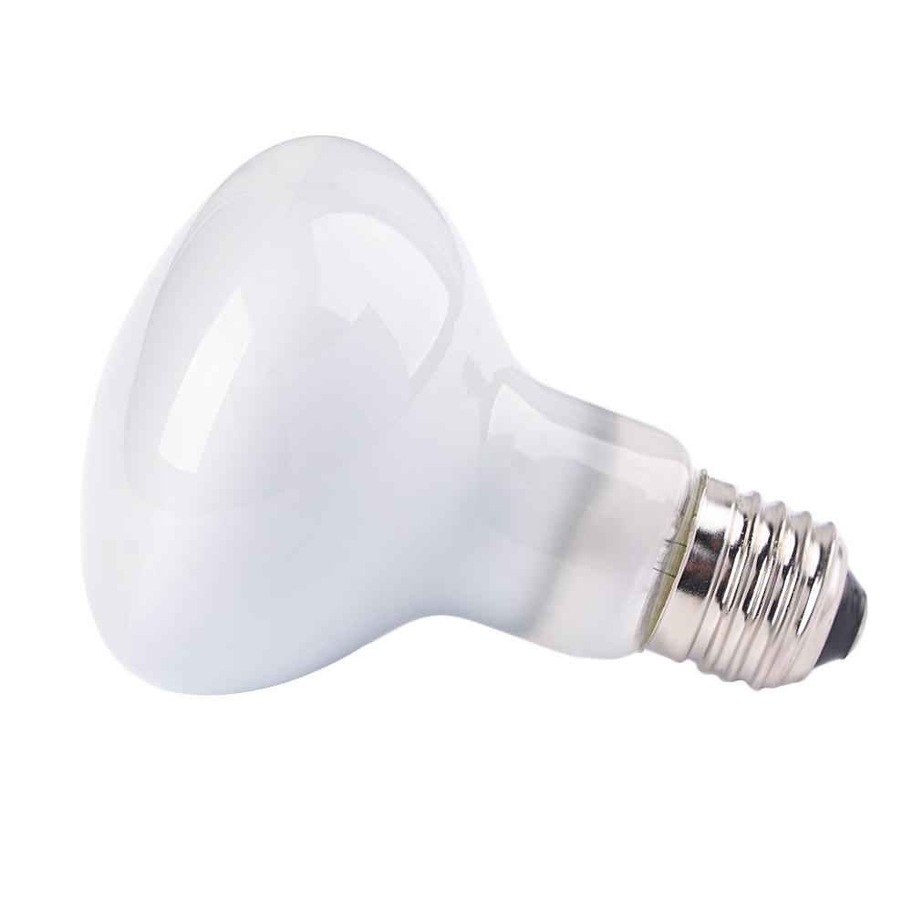 Lizard Temperature Controller  - Basking Bulb Halogen reseña y precio