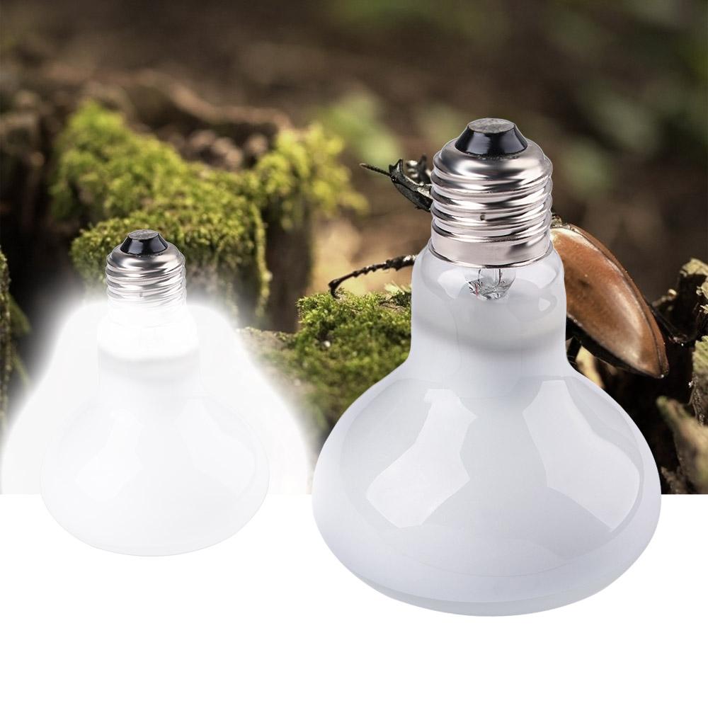 Lizard Temperature Controller  - Basking Bulb Halogen reseña y precio