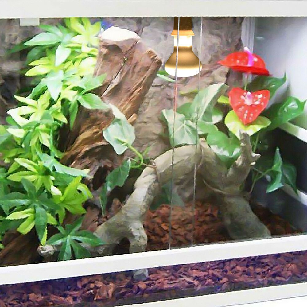 Lizard Temperature Controller  - Basking Bulb Halogen reseña y precio