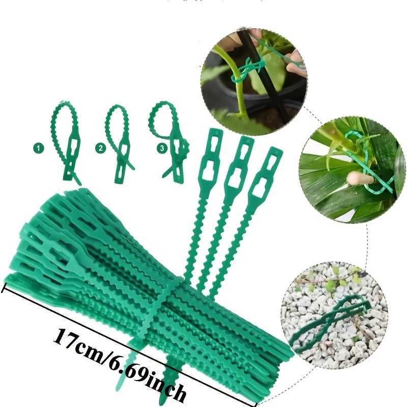 100PCS reusable adjustable pla - Vine Climbing Plastic reseña y precio