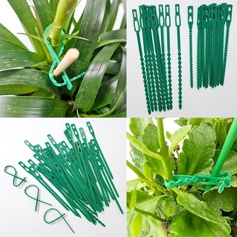 100PCS reusable adjustable pla - Vine Climbing Plastic reseña y precio