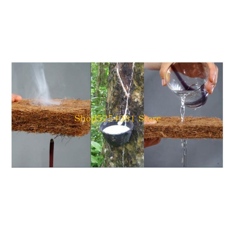 AXYC Reptiles Sleeping Mat Bed - Substrate Coconut Fiber reseña y precio