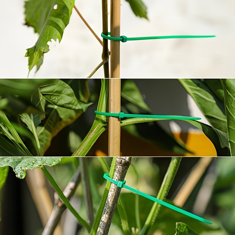 50-300pcs Adjustable Plastic P - Vine Climbing Plastic reseña y precio