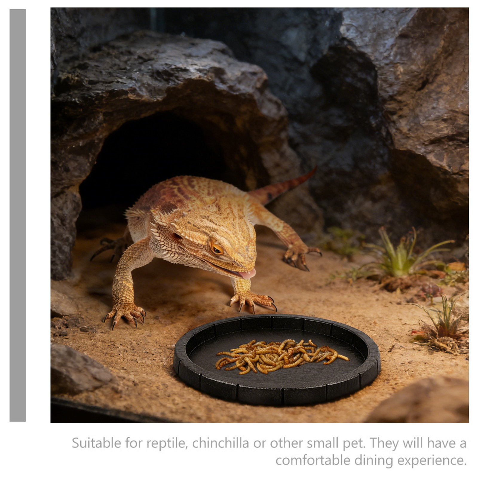 Reptile Feeding Bowl Compact L - Water Dish Reptile reseña y precio