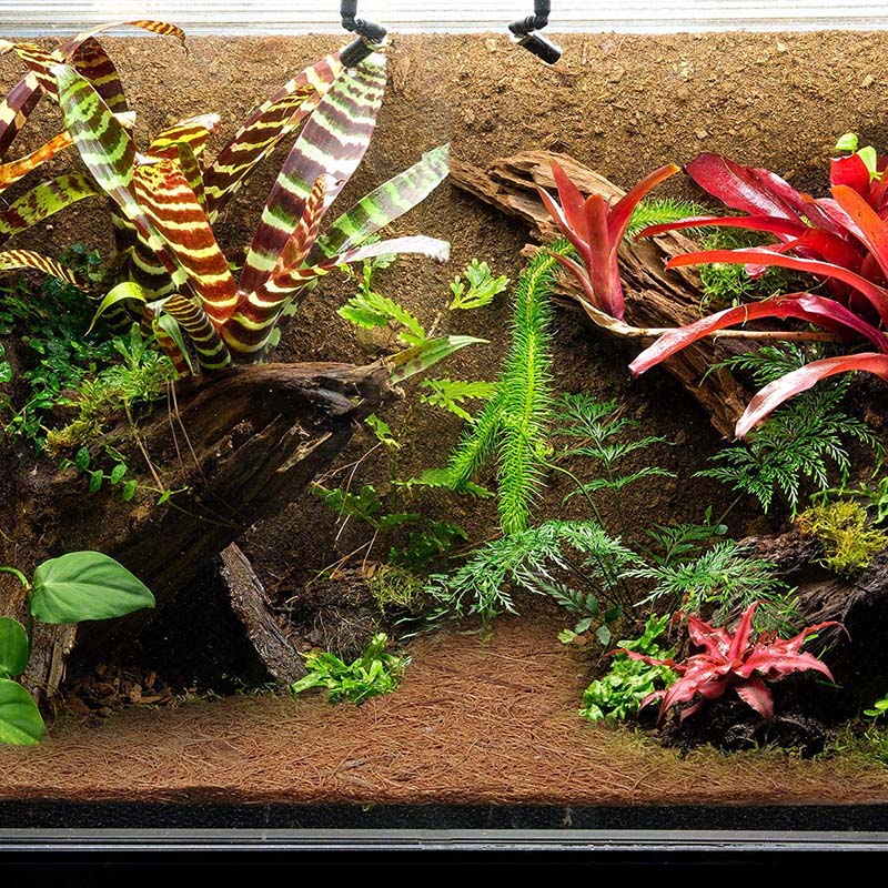 CMHI-Natural Coconut Fiber Mat - Substrate Coconut Fiber reseña y precio