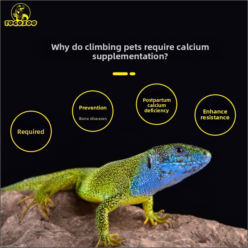 TOGOZOO WILDCAL Reptile Calciu - Calcium Powder Reptile reseña y precio