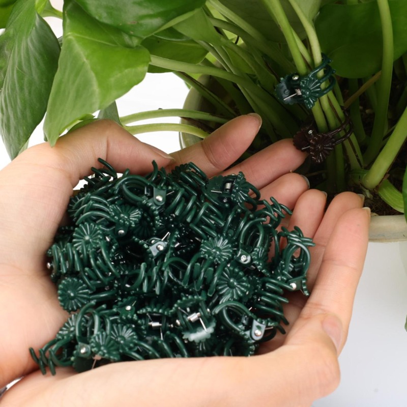 Wholesale Mini Plant Support C - Vine Climbing Plastic reseña y precio