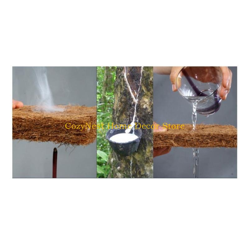 92MF Terrariums Substrate Line - Substrate Coconut Fiber reseña y precio