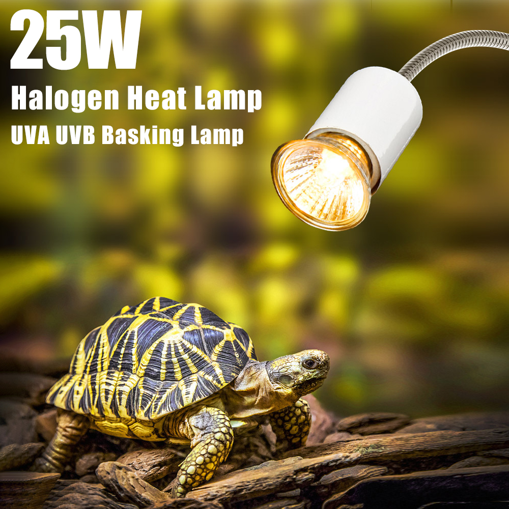 25W Halogen Heat Lamp UVA UVB  - Basking Bulb Halogen reseña y precio