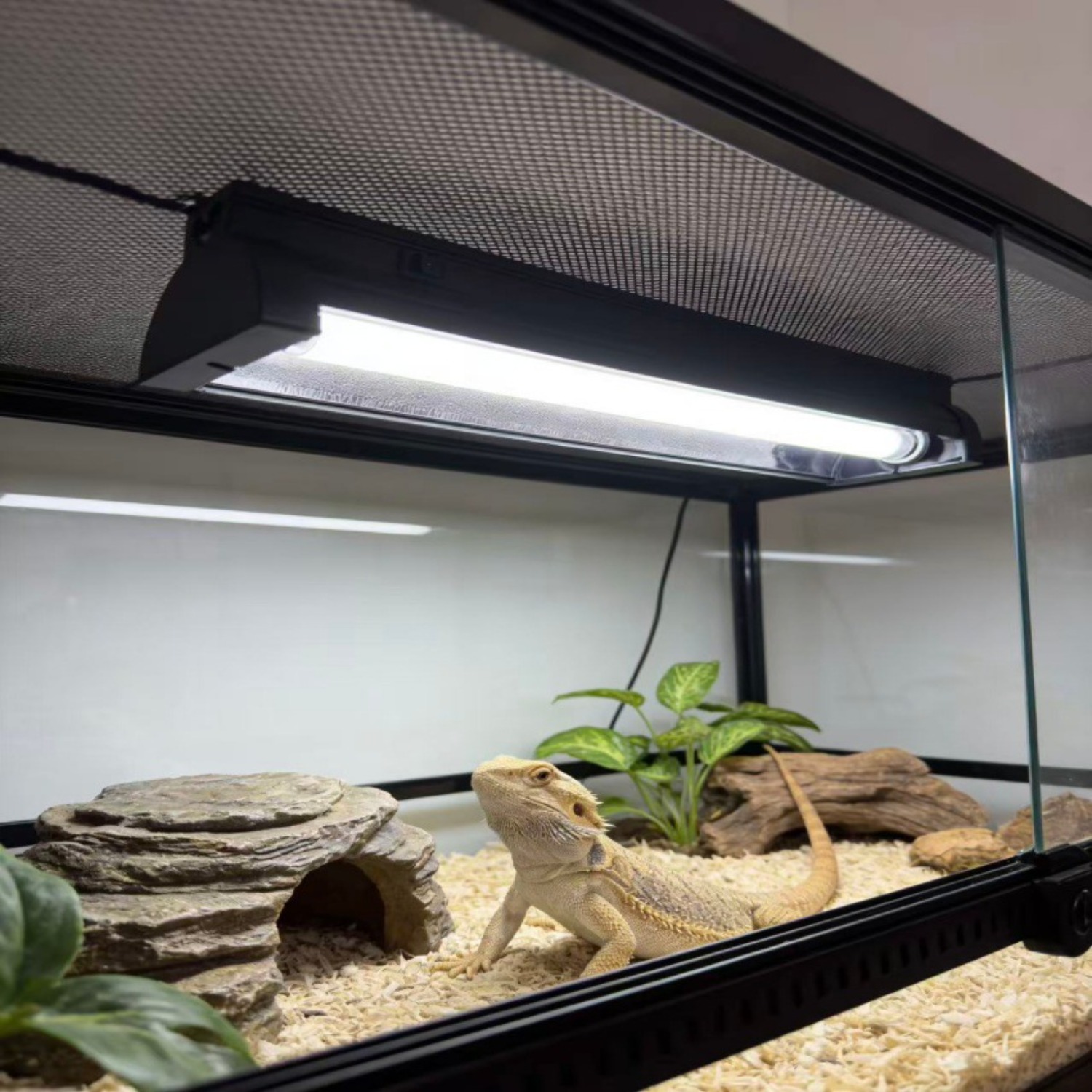 T5 UVB Reptile Light Fixture K - Calcium Powder Reptile reseña y precio