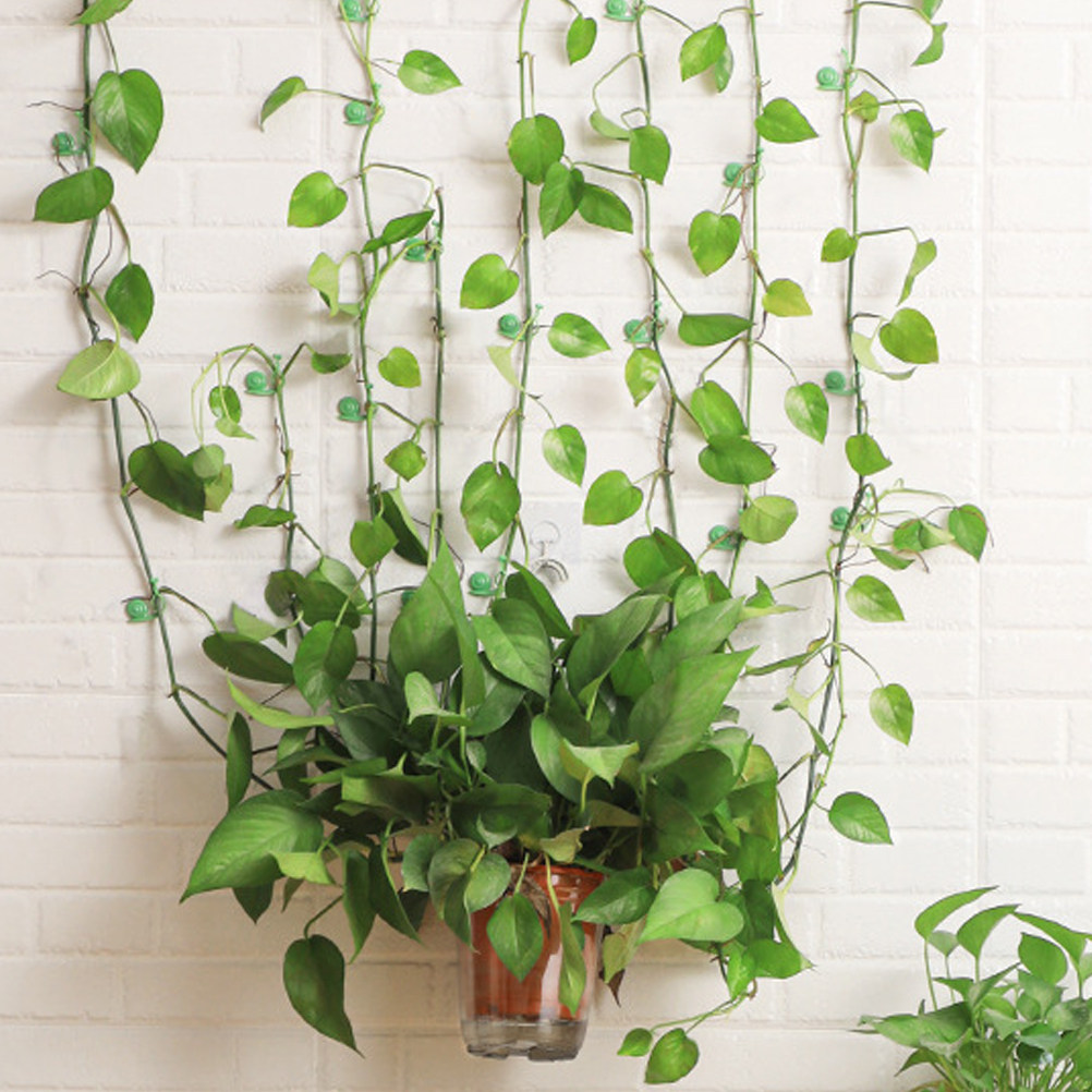 20Pcs Plant Climbing Wall Clip - Vine Climbing Plastic reseña y precio