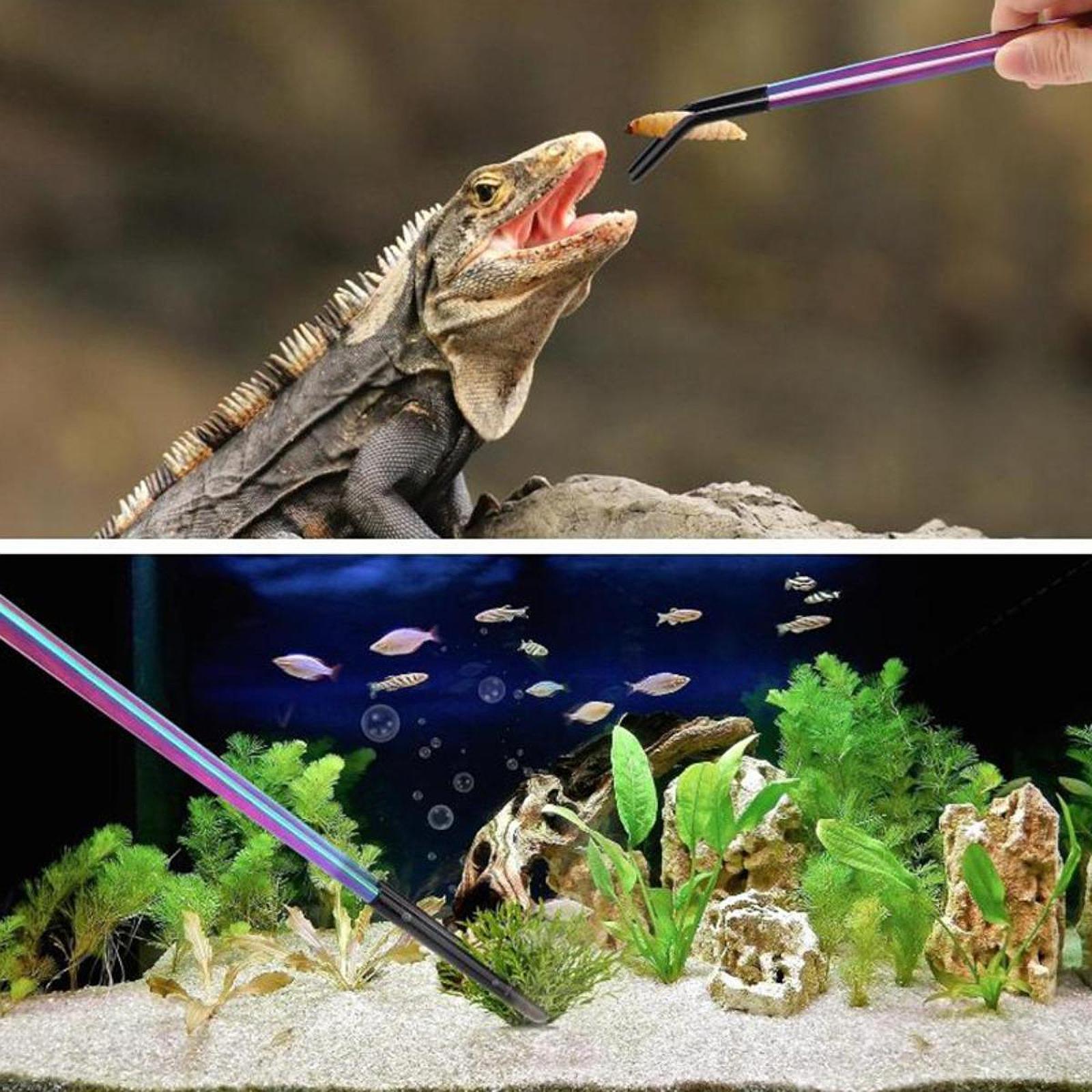 Aquarium Tweezers Reptile Feed - Feeding Tong Stainless reseña y precio