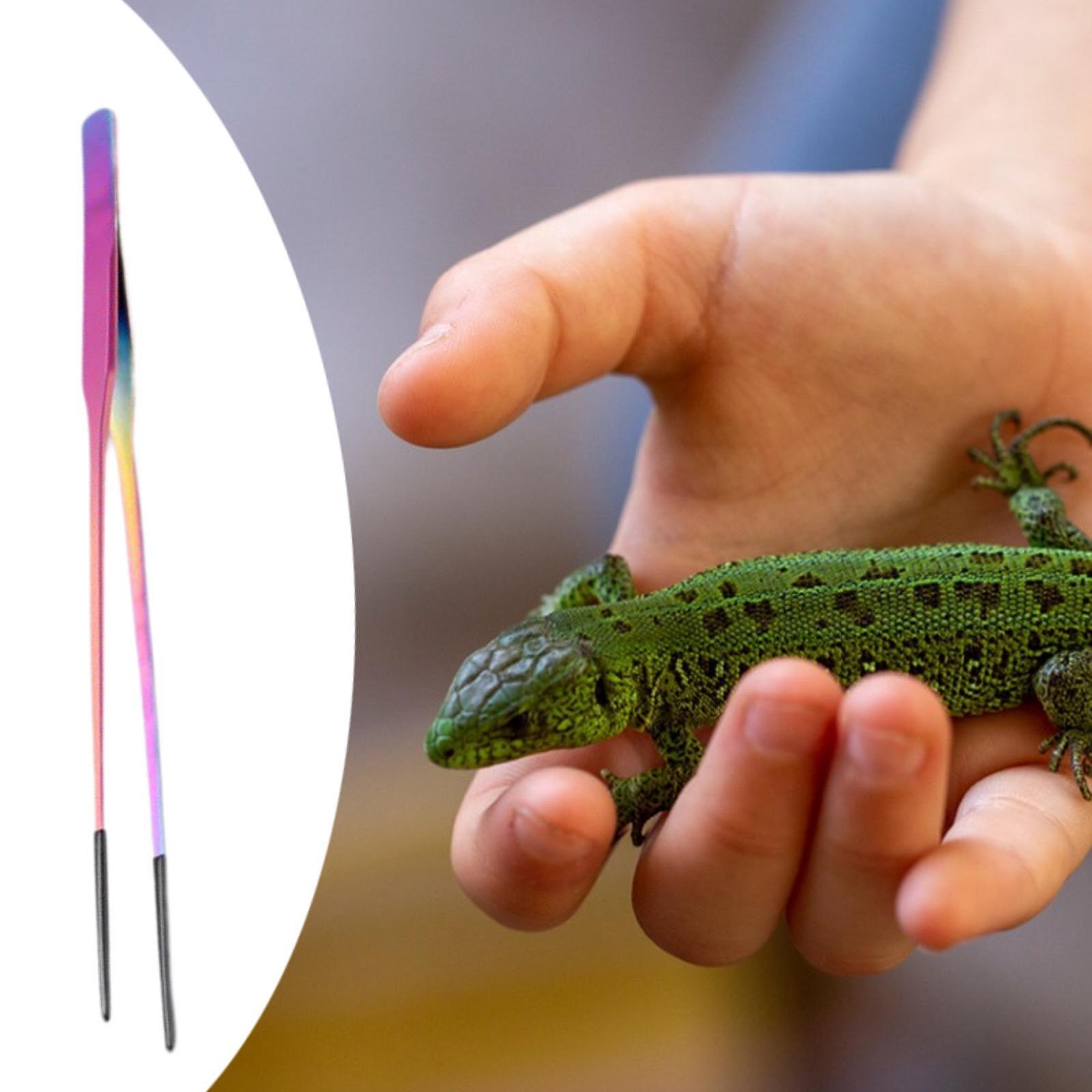 Aquarium Tweezers Reptile Feed - Feeding Tong Stainless reseña y precio