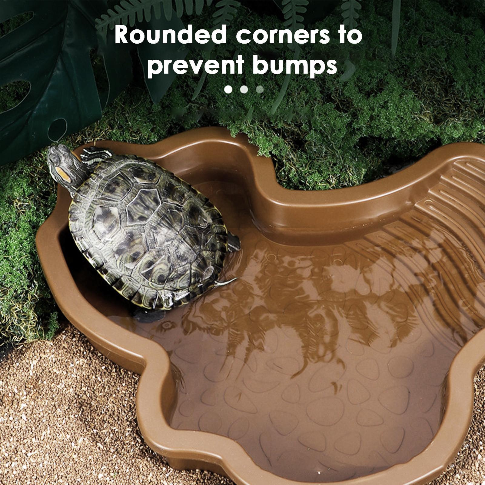 Reptile Bathing Pool with Ramp - Water Dish Reptile reseña y precio