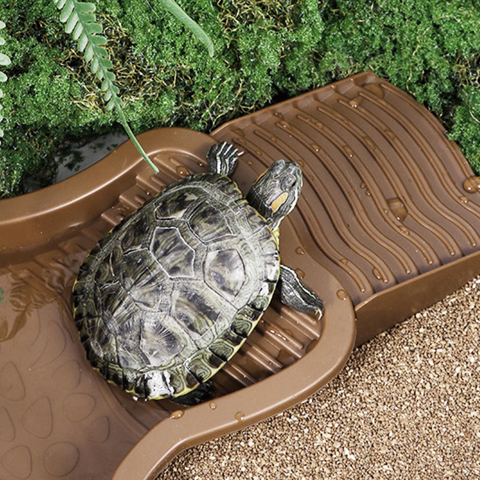 Reptile Bathing Pool with Ramp - Water Dish Reptile reseña y precio
