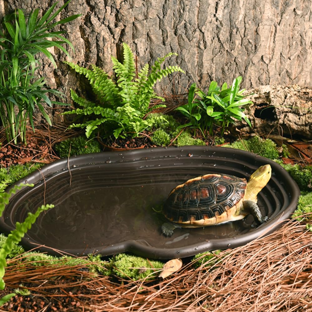 Reptile Bathing Dish Amphibian - Water Dish Reptile reseña y precio