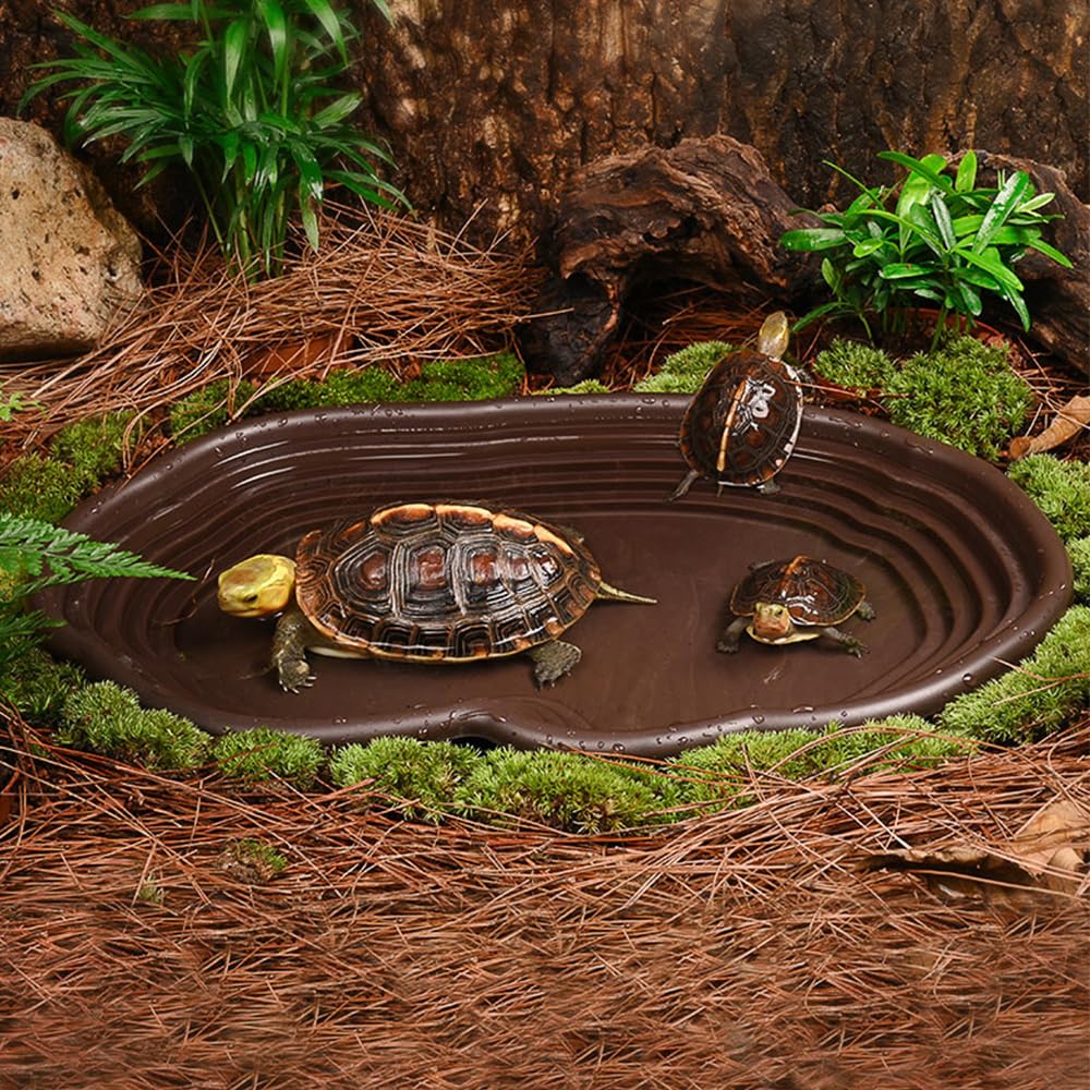 Reptile Bathing Dish Amphibian - Water Dish Reptile reseña y precio
