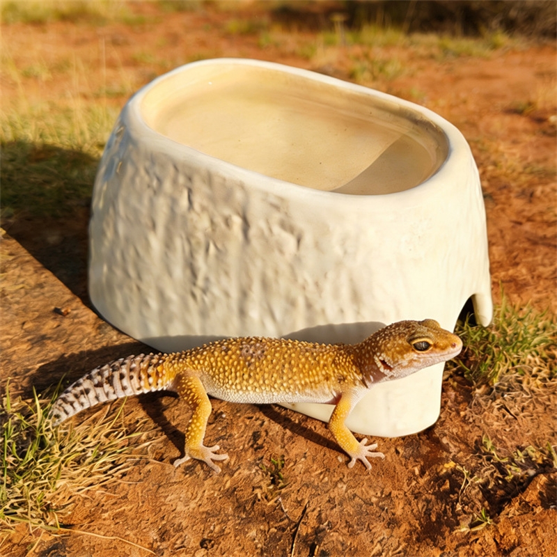 Ceramic Leopard Print Humid Hi - Hide Cave Ceramic reseña y precio