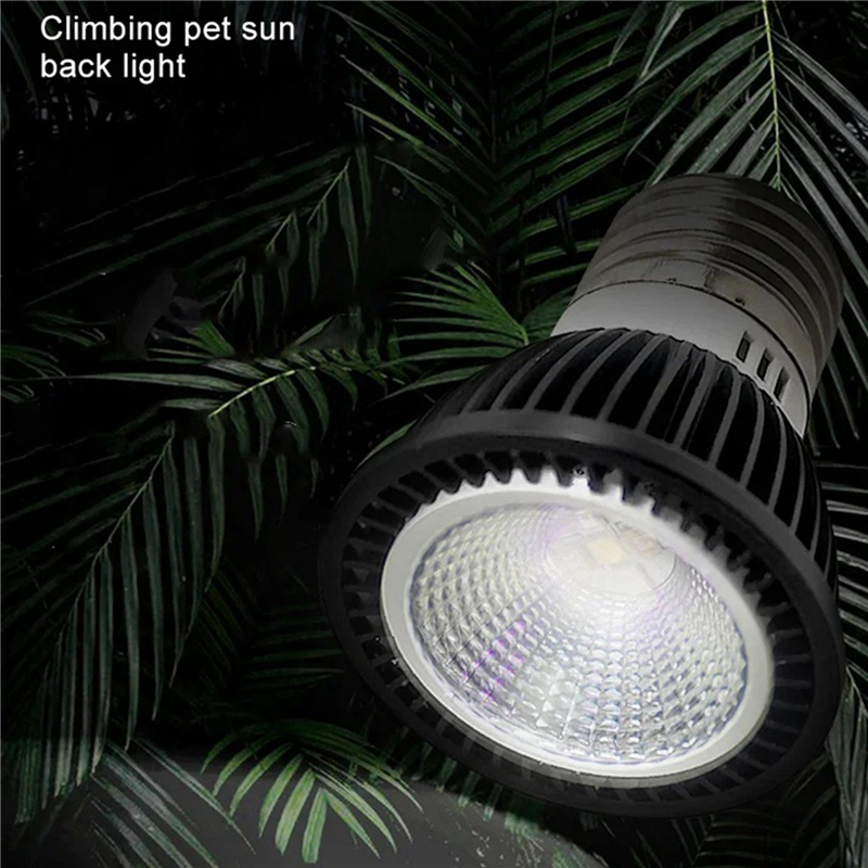 A03F-5X 110V Reptile UVB Light - Calcium Powder Reptile reseña y precio