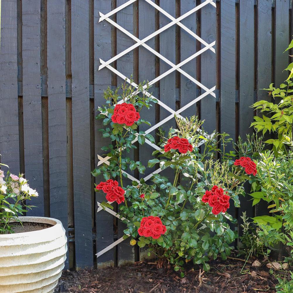 Expandable Garden Trellis 70 x - Vine Climbing Plastic reseña y precio