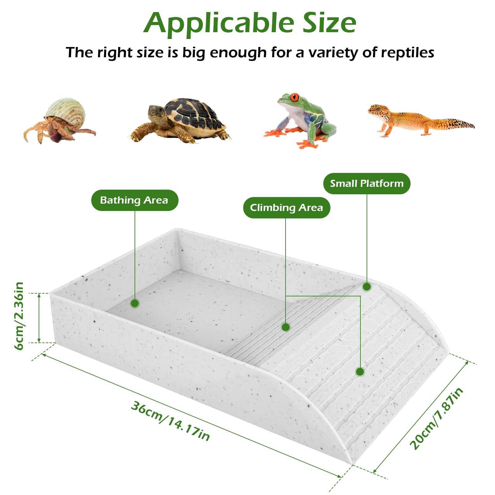 Anti Slip Tortoise Bath Dish T - Water Dish Reptile reseña y precio