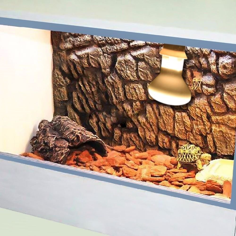 Turtle Temperature Controller  - Basking Bulb Halogen reseña y precio