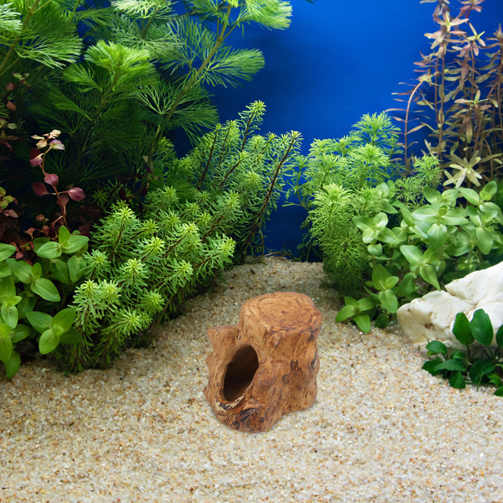 Pleco Caves for Aquarium Fish  - Hide Cave Ceramic reseña y precio