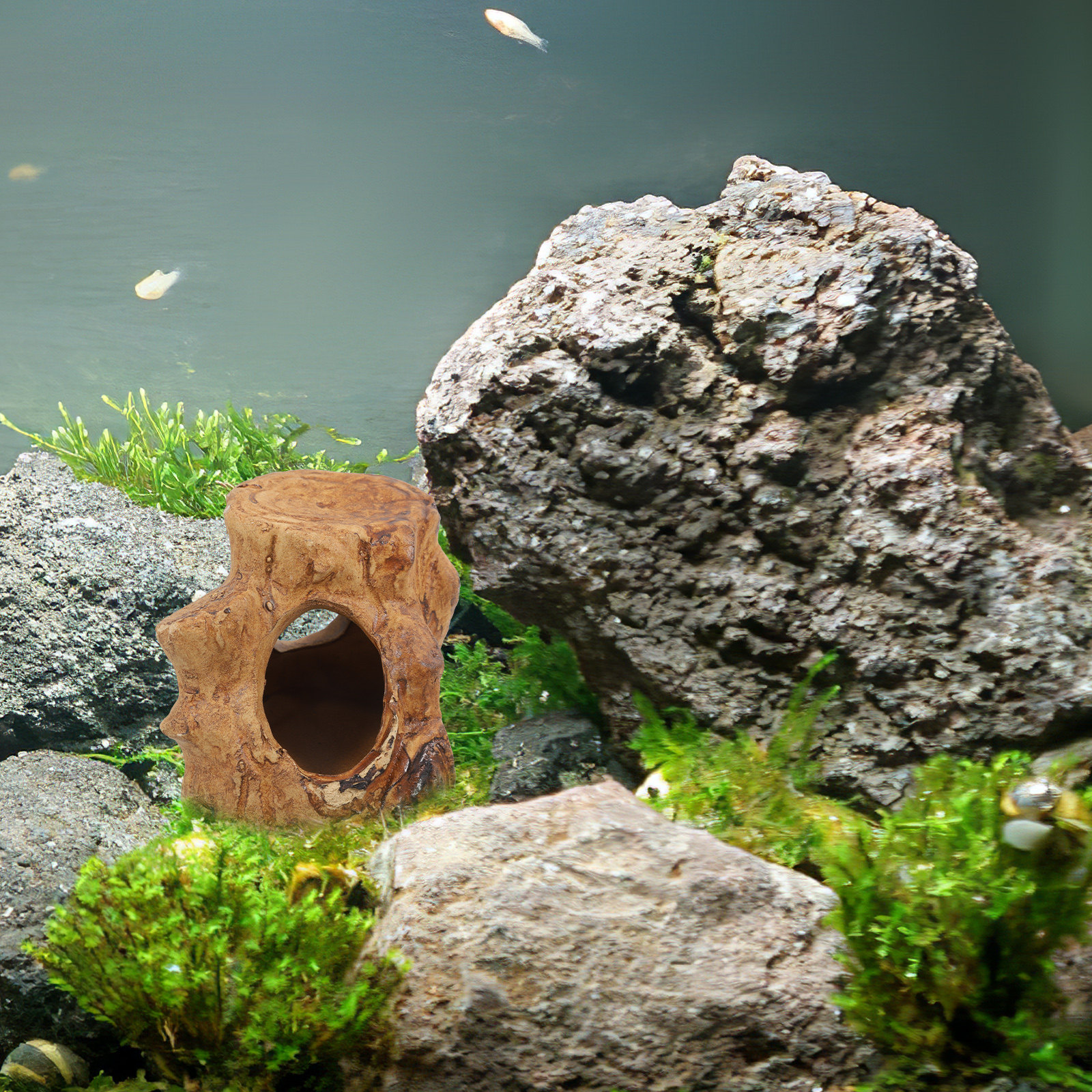 Pleco Caves for Aquarium Fish  - Hide Cave Ceramic reseña y precio