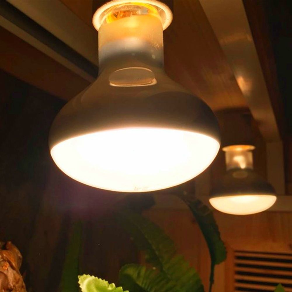 Turtle Heater Temperature Cont - Basking Bulb Halogen reseña y precio