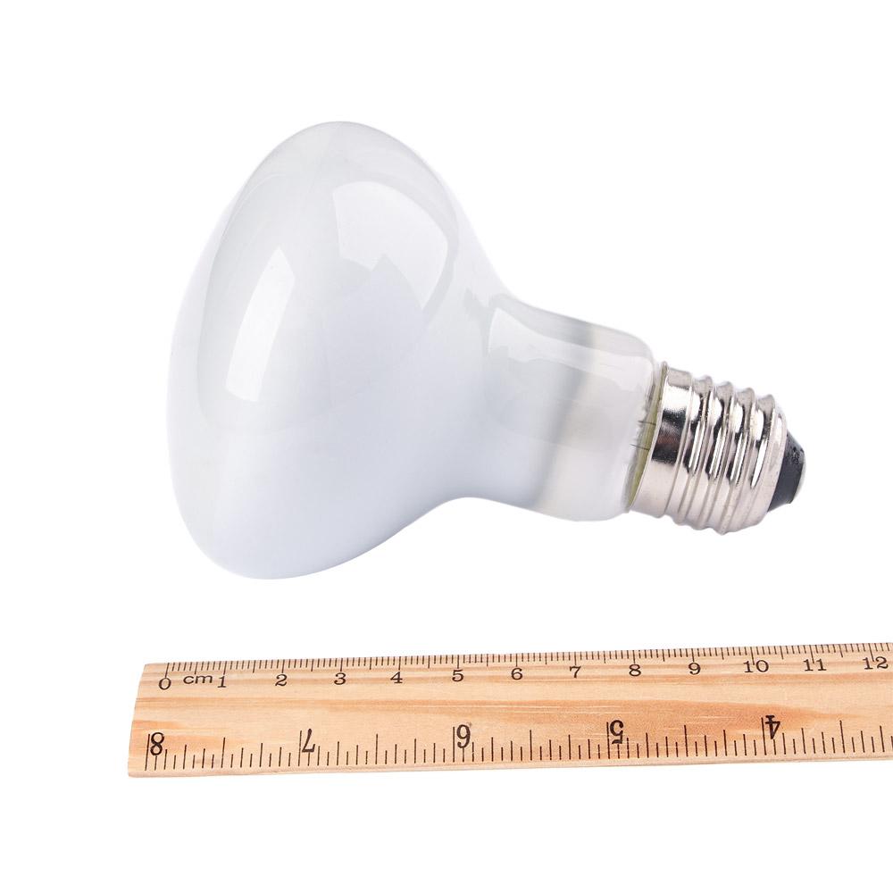 Turtle Heater Temperature Cont - Basking Bulb Halogen reseña y precio