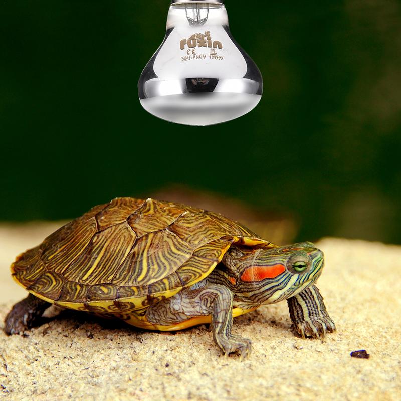 Pet Heating Lamp E27 Day Night - Ceramic Heat Emitter reseña y precio