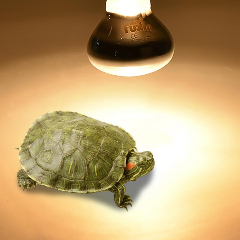Pet Heating Lamp E27 Day Night - Ceramic Heat Emitter reseña y precio