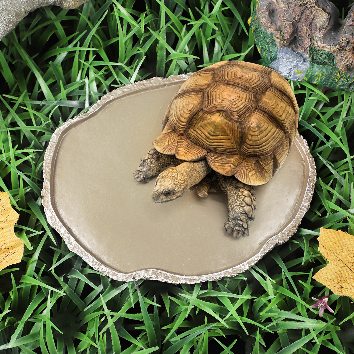 Pets Feeding Plate Reptile Fee - Water Dish Reptile reseña y precio